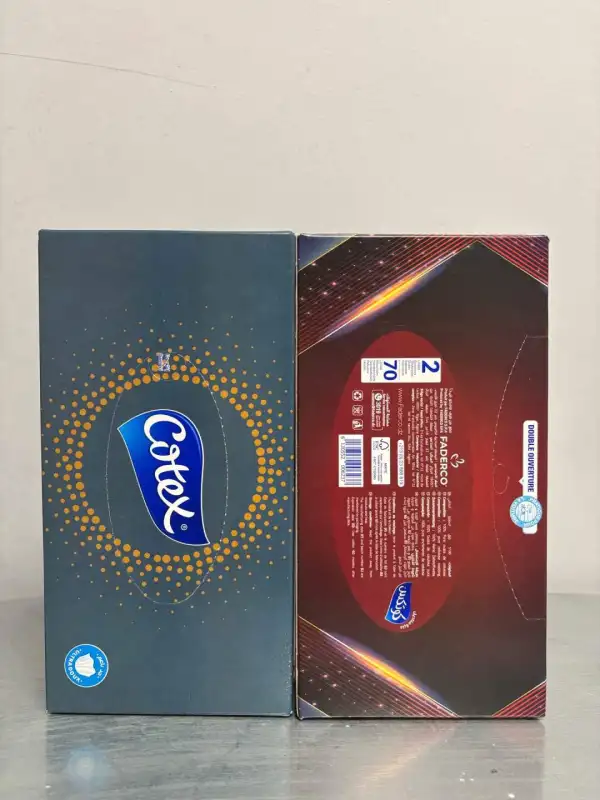 mouchoirs papier cotex 2 épaisseurs*70 | discount-destock 